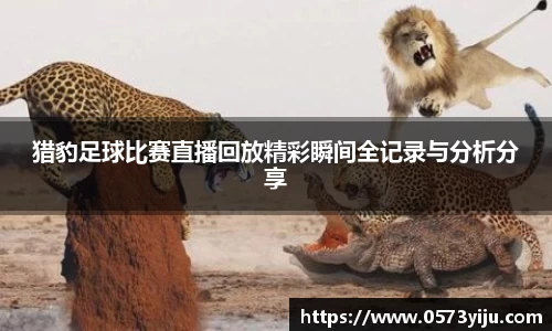 猎豹足球比赛直播回放精彩瞬间全记录与分析分享